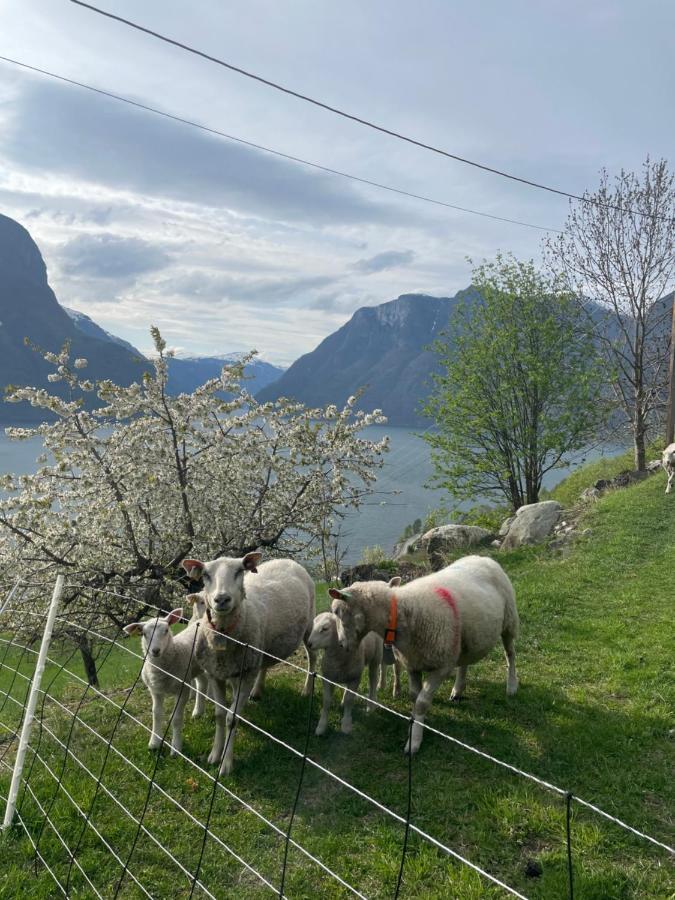 Aurland Stegastein Apartment Exterior photo