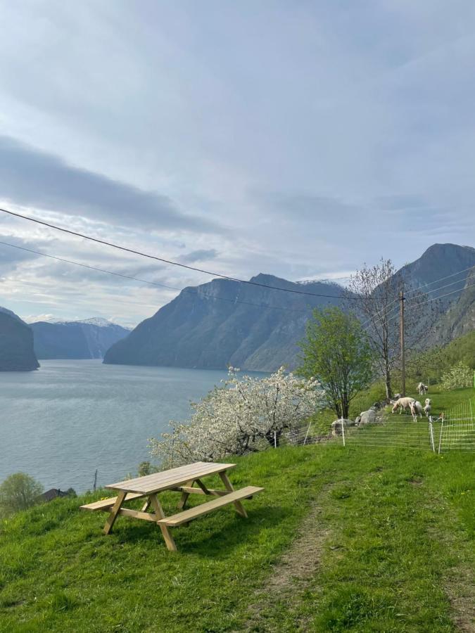 Aurland Stegastein Apartment Exterior photo